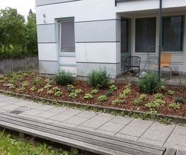 Grün & mehr Garten- und Landschaftsbau Thorsten Merkle Bild 10