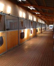 Centre Equestre De Sully image 8