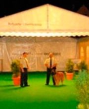 MEGA Festzelt AG Bild 4