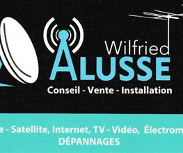 Wilfried Alusse image 2