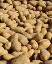 Arnhofer Josef Brunner Bild 3