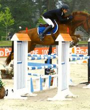 Les Ecuries Du Plessis Picard image 7