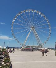 Escale BORELY image 2