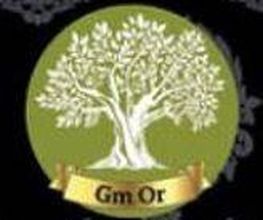 GM Or image 8