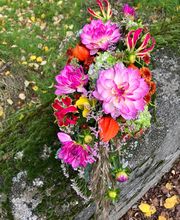 Fleurs d'Elfes Bild 1