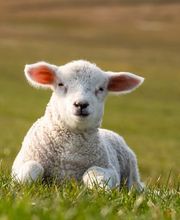 Atelier Weitblick Bild 11