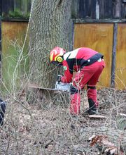 Der Gartenpionier Bild 3