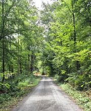 FriedWald Wiesenbach Bild 2