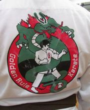 Golden Rule Karate & Fitness image 17