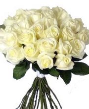 De fleur en fleur image 8