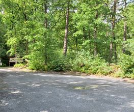 FriedWald Bremer Schweiz Bild 8