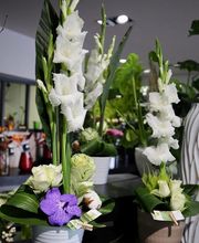 Fleurs Ô Naturel image 1