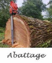 Au Près des Arbres image 6