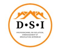 D.S.I