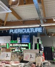 Orchestra LANGUEUX image 15