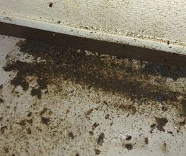 Stop Insecte image 8