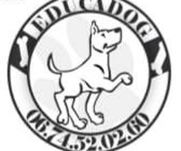 Educa'Dog image 14