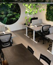 Le Silicone Valley image 1