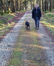 Sitz Platz Komm Hundeschule Marion Hans Bild 1
