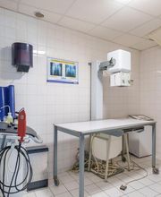 Cabinet Vétérinaire de la Haute Seine image 19