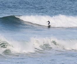 Buchholz Surfboards & Schreinerei Bild 2