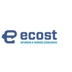 Autospurgo Ecost logo