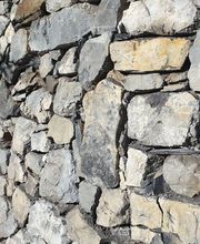 Inge-Conseil image 15