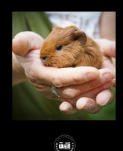 Môm Bien'Naître image 5