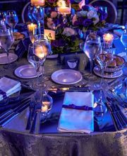 Bellini Events Bild 7