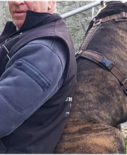 Hundeschule RolfsRudel  Rolf Matar Bild 1