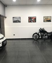 Gallery Cliente