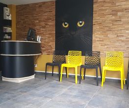 Felis Canis image 1