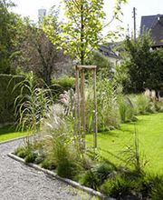 Berner F. Gartenbau AG Bild 1