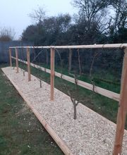 Les Touches Vertes image 3