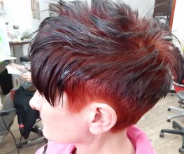 Haarartist Alex Bild 3