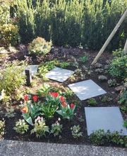 MM Gartenpflege GmbH Bild 3