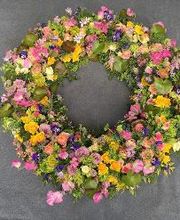 Gärtnerei Schöbel Bild 15
