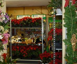 yerbaflor-interior-floristeria-02.jpg