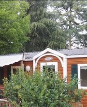 Claret Sylvie image 1