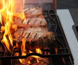 Ramster Holzbackofen und Grills Bild 14