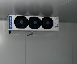 Secafi image 7