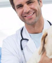Susquehanna Trail Animal Hospital image 3