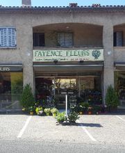 Fayence Fleurs image 8