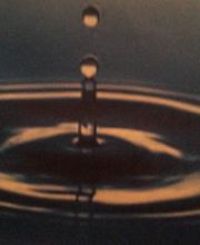 Sea Zen Beaute image 6