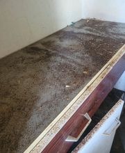 Sos Antinuisibles 54 image 6