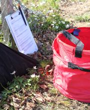 Spycher Baumpflege GmbH Bild 8