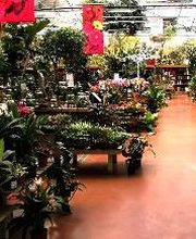 Villaverde Rocchietta Jardinerie Animalerie Le Beausset image 2