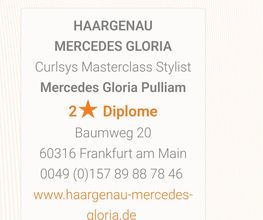 CURLSYS MASTER 2 Sterne Diplom