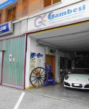 Gallery Cliente