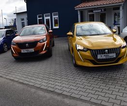 Auto Schubert Bild 3